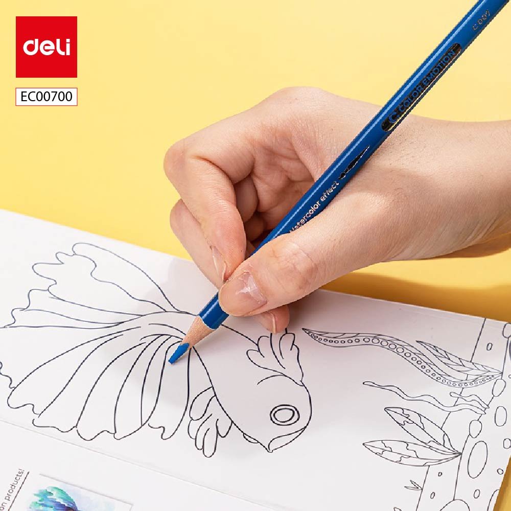 ديلي أقلام تلوين خشبي مائي طويل - 12 لون - EC00700